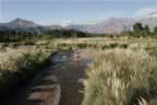 River that flows through Ispallata in the Andes (93kb)
